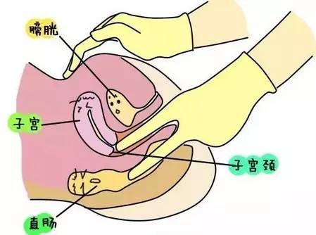 體檢被男醫生扒唇內檢小說_體檢被男醫生扒唇內檢小說_體檢被男醫生扒唇內檢小說
