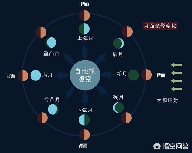 百科問答題知識大全_百科知識問答題_百科問答題目