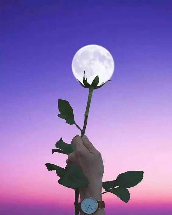 月光情景作文200字_月光下的情景小練筆_月光情景的小練筆