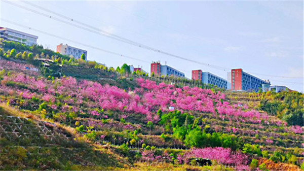 云南國土資源職業學院官網專業_云南國土資源職業學院院系_云南國土資源職業學院官網