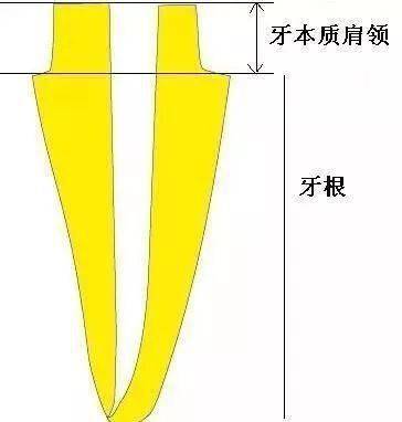 校友錄名單_校友錄首頁_校友官網