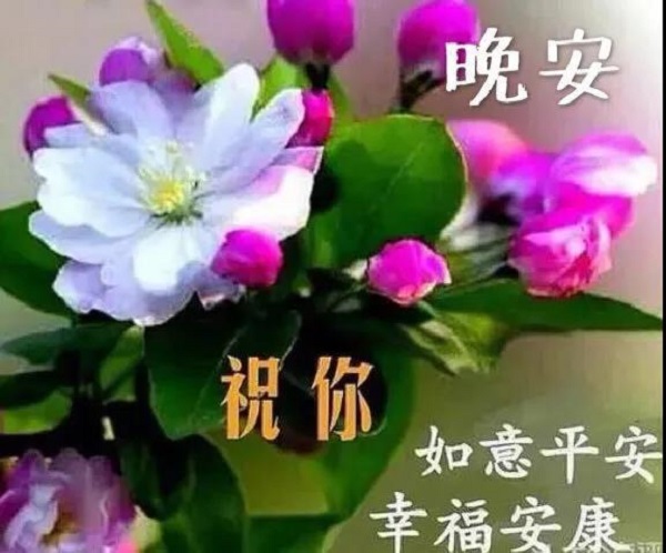 早安最美一句話_最美的早安心語_最美的一句早安話