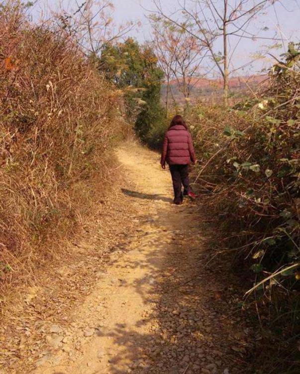 宅在家的最經(jīng)典說說_在家宅的說說_宅家里說說
