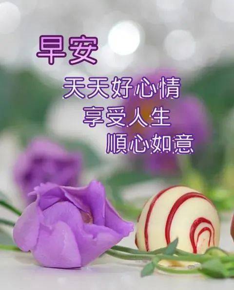 高考鼓勵與祝福的話_高考祝福鼓勵的話_高考祝福語和鼓勵的話