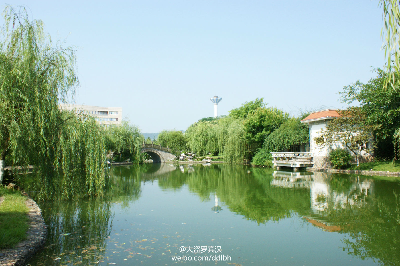 含專科的本科大學_專科本科含大學學歷嗎_含專科的本科