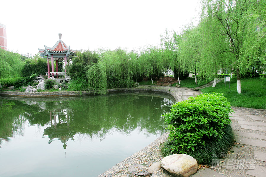 含專科的本科大學_專科本科含大學學歷嗎_含專科的本科