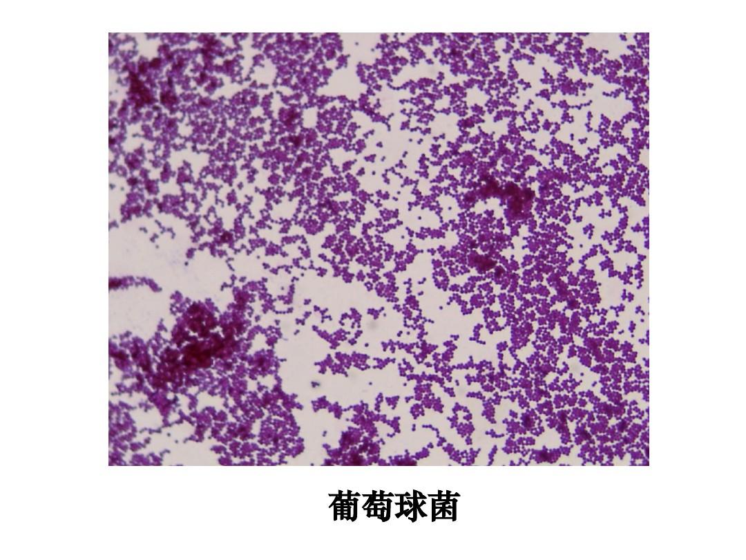 造價師真題講解_二級造價師答案_2020造價師視頻