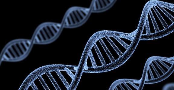 高三生物教學反思范文大全_高三反思生物教學內容_高三生物教學反思