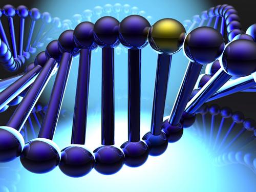 河北農業大學研究生學院_河北農業大學研究生招生官網_河北農業大學農學院研究生