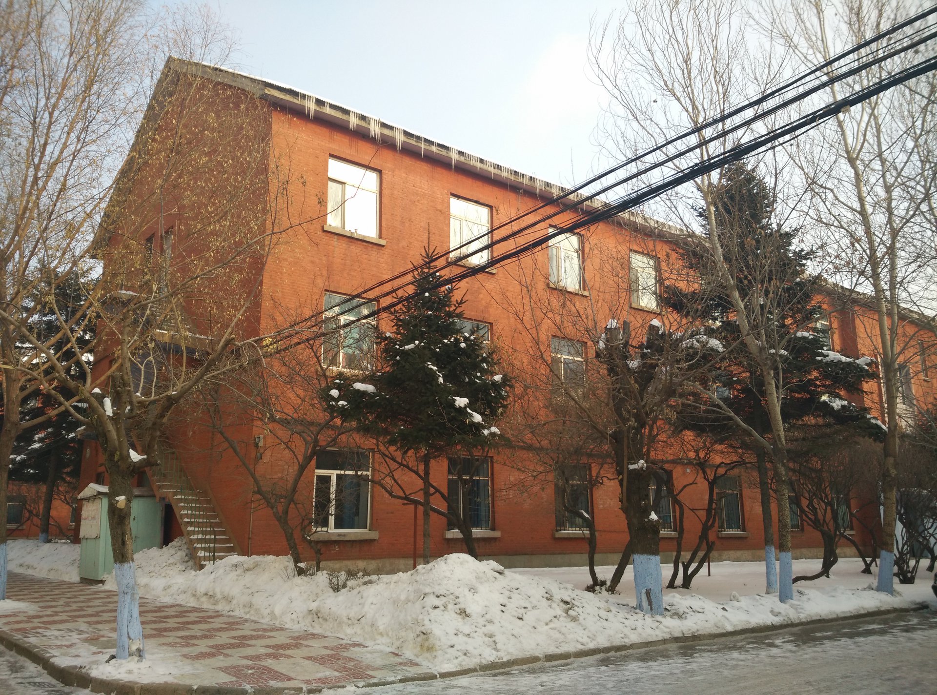 東北大學林業專業_東北林業大學宿舍_東北林業大學寢室樓