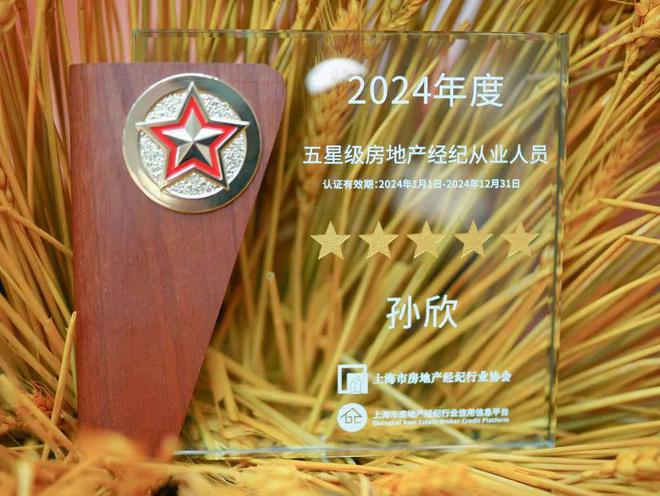 房地產經紀人協理房地產經紀人_房地產經紀人協理條件_經紀房地產人協理工作