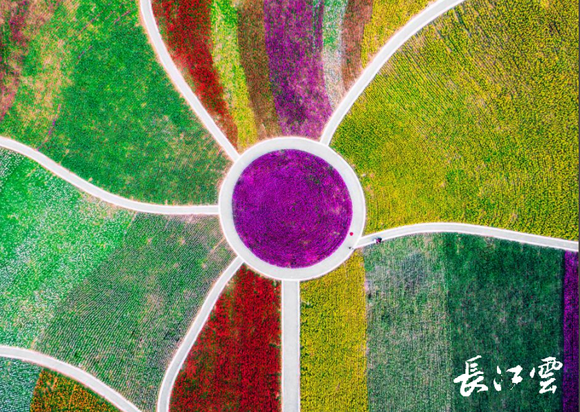 漢江科技學(xué)校后續(xù)_漢江科技學(xué)校占地多少畝_漢江科技學(xué)校