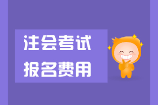 會計從業資格考試報名時間2024_2020年會計從業證報名時間_會計從業資格考試報名時間2024