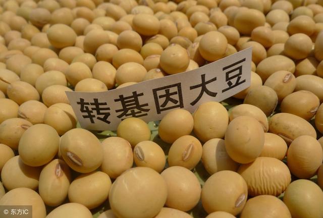 基因食品的好處_轉(zhuǎn)基因食品的好處_基因食品是什么