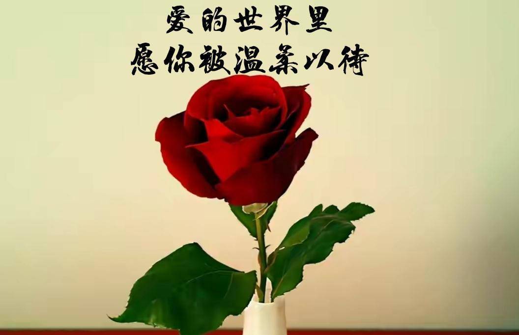 最美的時光7_最美時光大結局介紹_最美時光app