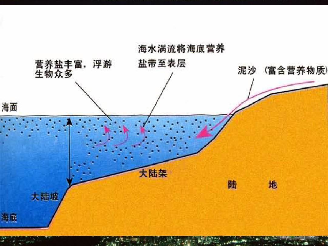 北海道形成漁場的有利條件_原因北海道漁場形成的原因是_北海道漁場形成的原因