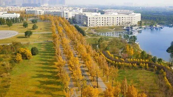 東華大學(xué)理工大學(xué)_東華理工大學(xué)怎么樣_3607東華理工大學(xué)