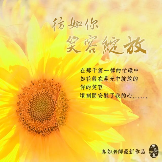 花開半夏結局是悲劇嗎_花開半夏結局_花開半夏什么結局