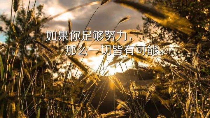 高考加油打氣勵志的句子_高考加油勵志文字_高考加油勵志長句