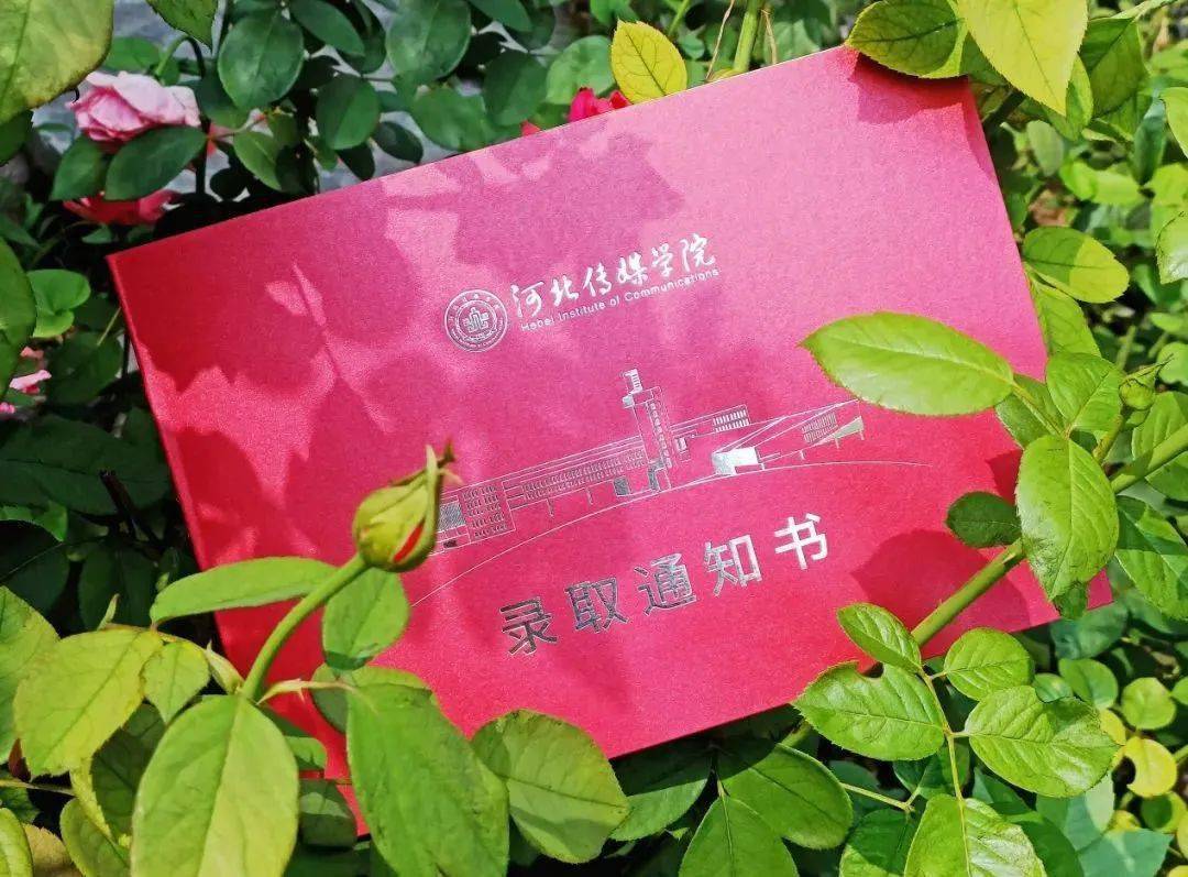 21年河南大學(xué)分?jǐn)?shù)線_河南大學(xué)2024錄取分?jǐn)?shù)線_錄取分?jǐn)?shù)河南線大學(xué)2024