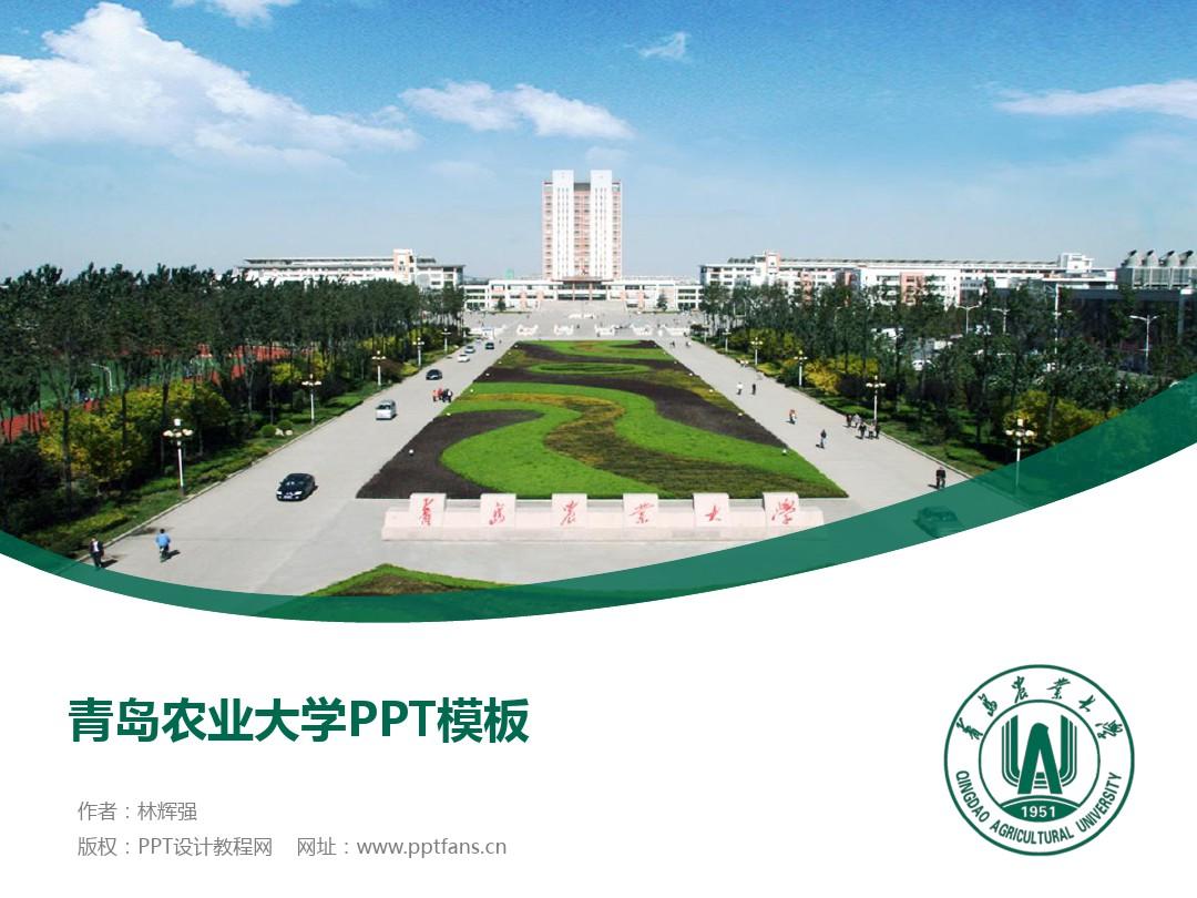 青島農業大學教務中心_青島農業大學教務信息網網址_青島農業大學教務處