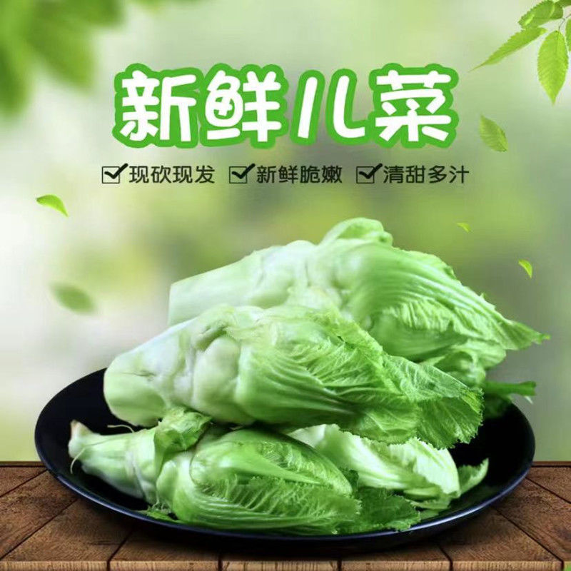 貴州省建設廳信息網(wǎng)_貴州省建設信息網(wǎng)_貴州省建設廳信息