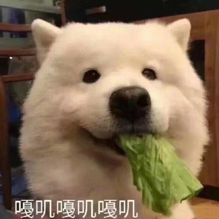 考研分數線降低_2024考研分數線會下降嗎_2024考研分數線會下降嗎