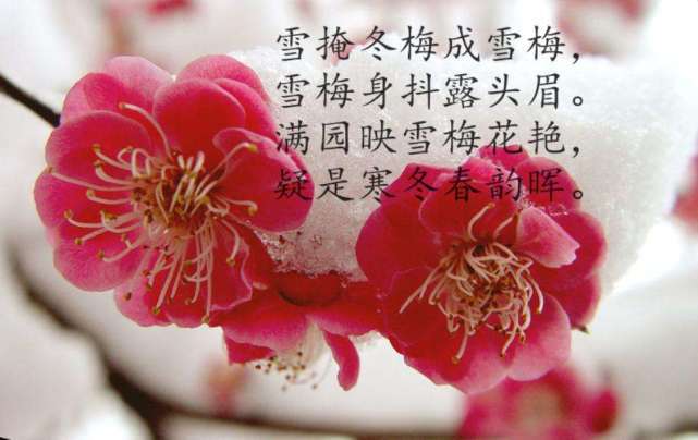梁園日暮什么飛鴉_梁園日暮亂飛鴉_園日暮亂飛鴉