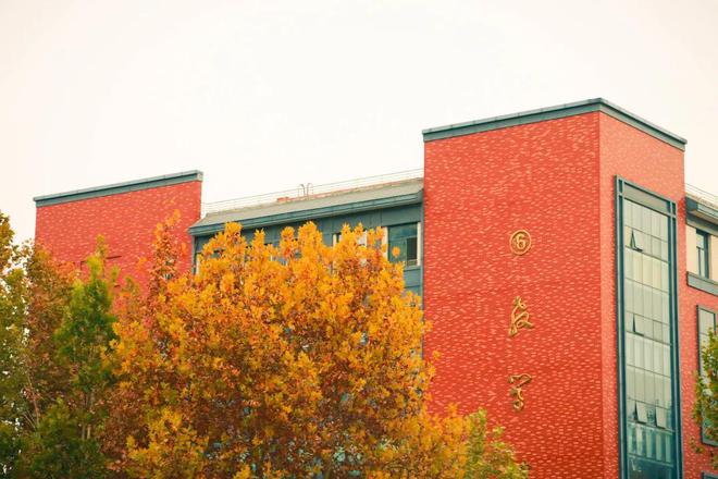 聊城職業(yè)技術(shù)學(xué)院語委辦_聊城職業(yè)技術(shù)學(xué)院基礎(chǔ)部_聊城職業(yè)技術(shù)學(xué)院領(lǐng)導(dǎo)名單