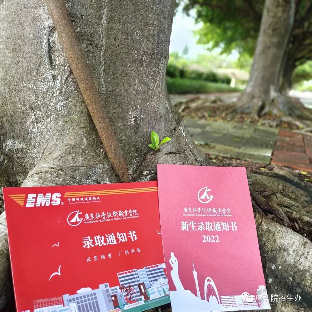 東莞南博職業技術學校專業_東莞南博職業技術學院_東莞南博職業技術學院改名