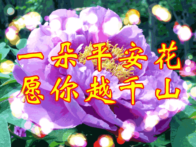 用英語怎么說節(jié)日快樂_節(jié)日快樂英語_2024年節(jié)日快樂用英語怎么說