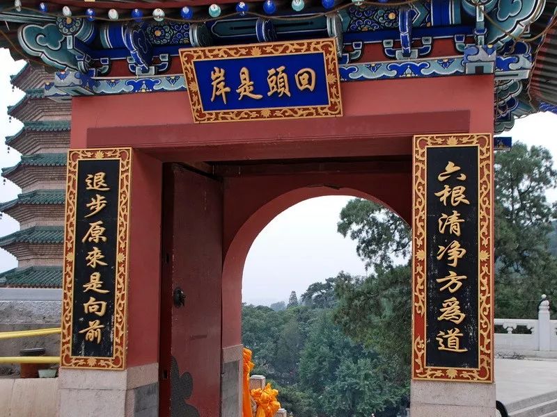 回頭是岸岸在哪里_回頭是岸的岸是什么_回頭是岸前一句