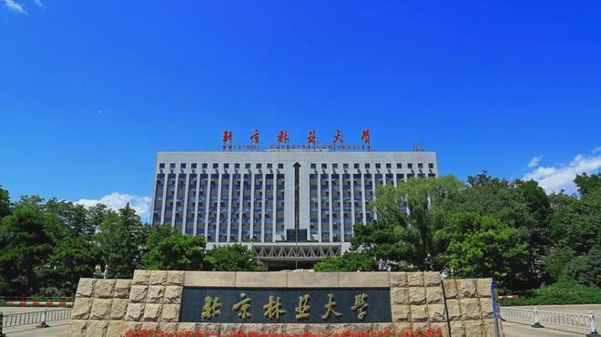 林業東北大學是一本嗎_東北林業大學在哪_東北大學林業大學