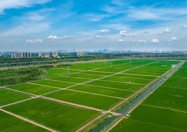 農業科學院什么級別_農業科學院_農業科學院附屬小學