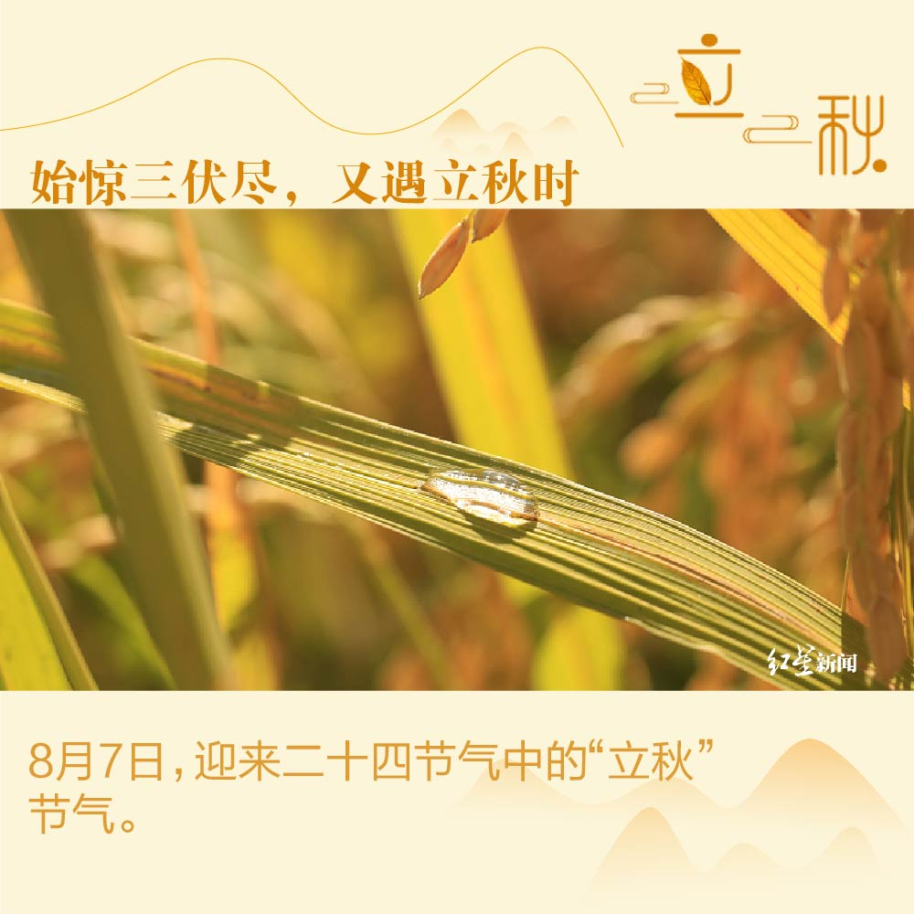 三伏天時間表每年是固定的嘛_21年三伏天的時間表_三伏天的日期表
