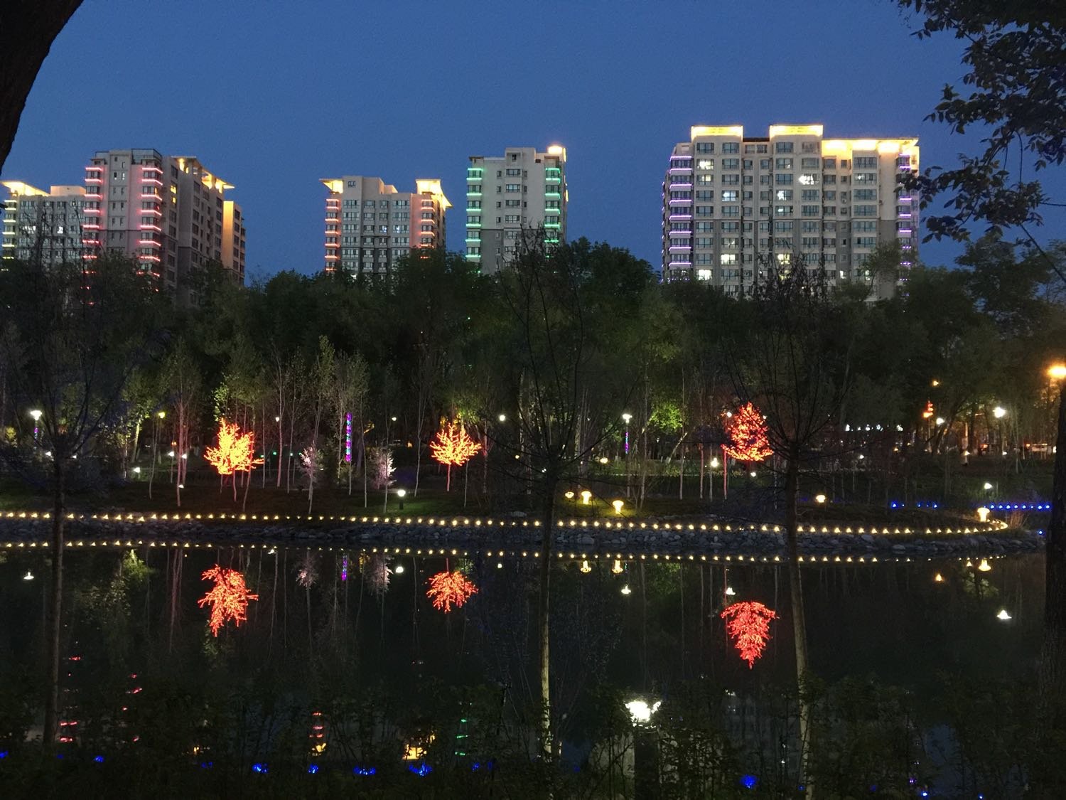 石河子大學在什么街道_石河子大學地址_石河子大學學校地址
