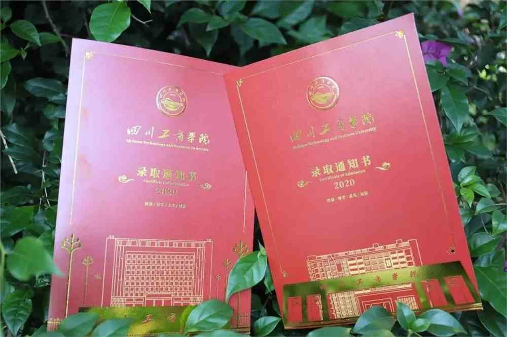四川單招學(xué)校_四川單招學(xué)校推薦2024_四川單招學(xué)校推薦公辦排名