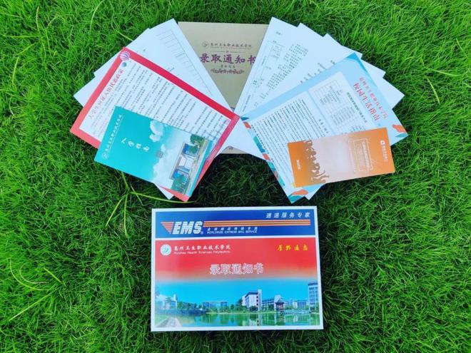 職業技術學院排名湖南_湖南技術職業學校排名_湖南職業技術學校排名前十
