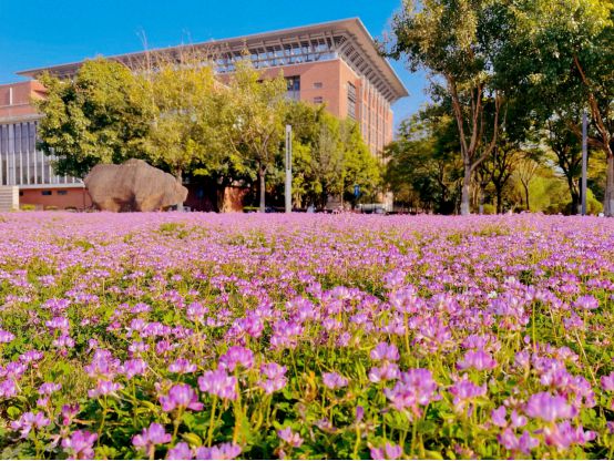 福建師范大學協和學院學費_福建師范大學協和學院收費標準_福建師范協和學院學費多少錢