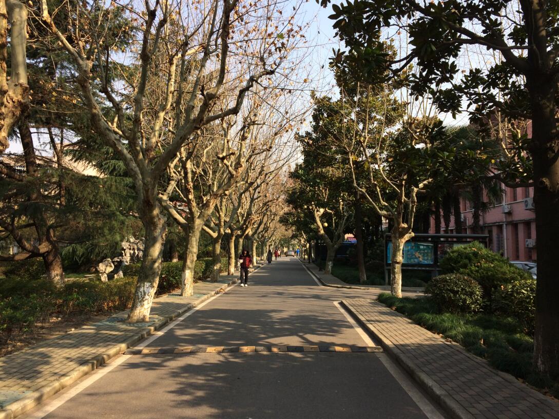 東華大學材料學院_東華大學材料類_東華大學材料
