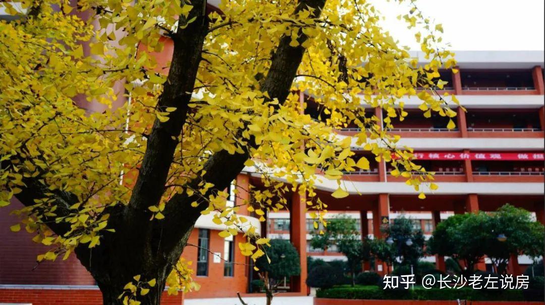 東錢湖鎮中心小學招生_東錢湖中心小學_東錢湖中心小學電話號碼