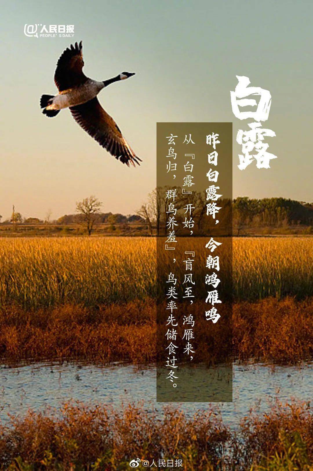 2024清明節_2024年清明時間_清明節2024年是哪一天
