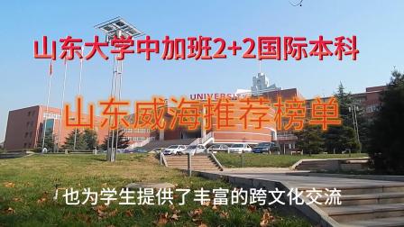 山東單招學(xué)校好進(jìn)嗎_山東最好的十大單招學(xué)校_山東單招學(xué)校好考