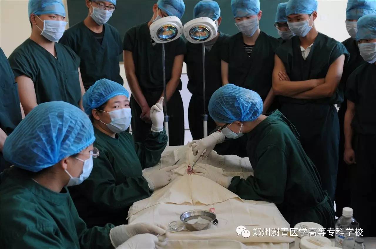 2023年河南醫學高等專科學校官網錄取分數線_河南醫學高等專科學校分數_河南醫學類專科分數線