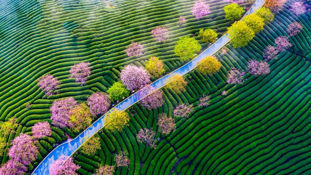 江西大學好還是南昌大學好_江西大學好二本_江西最好的大學