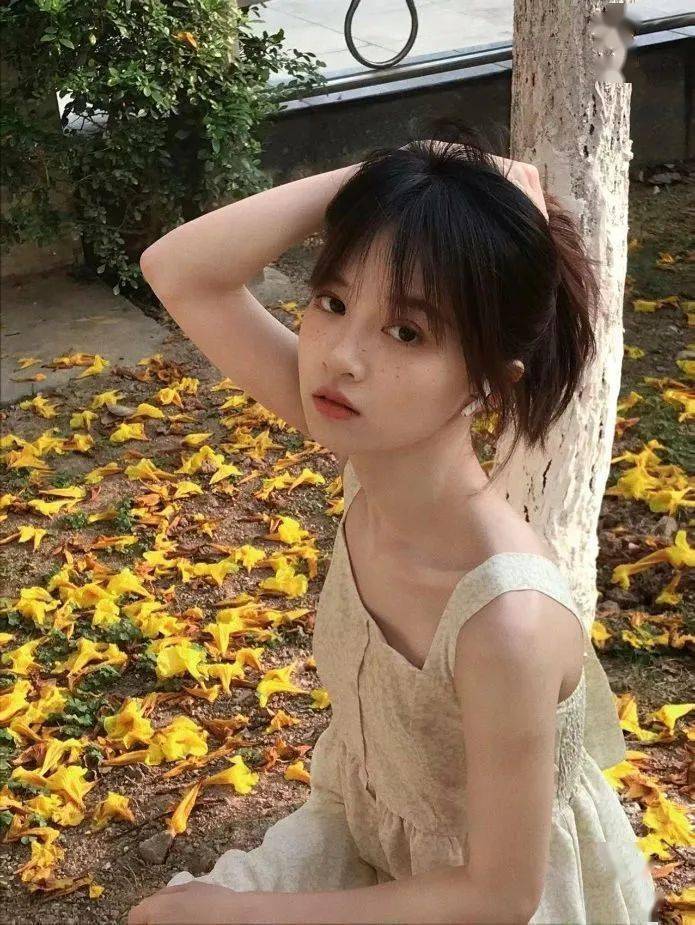 身份證查四六級_六級查詢身份證號_六級查詢身份證