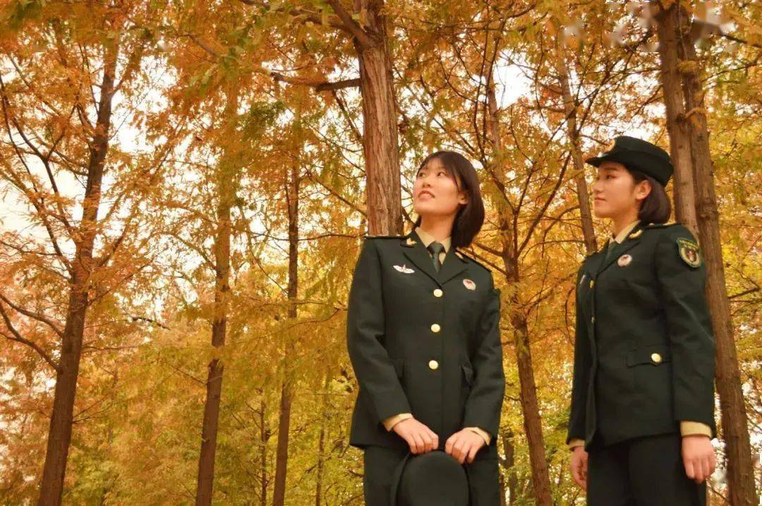 陸軍航空兵學院高考多少分_中國陸軍航空兵學院錄取分數線_陸軍航空兵學院分數線