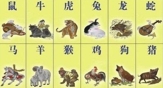 什么生肖周而復始_周而復始打一個生肖_周而復始猜生肖