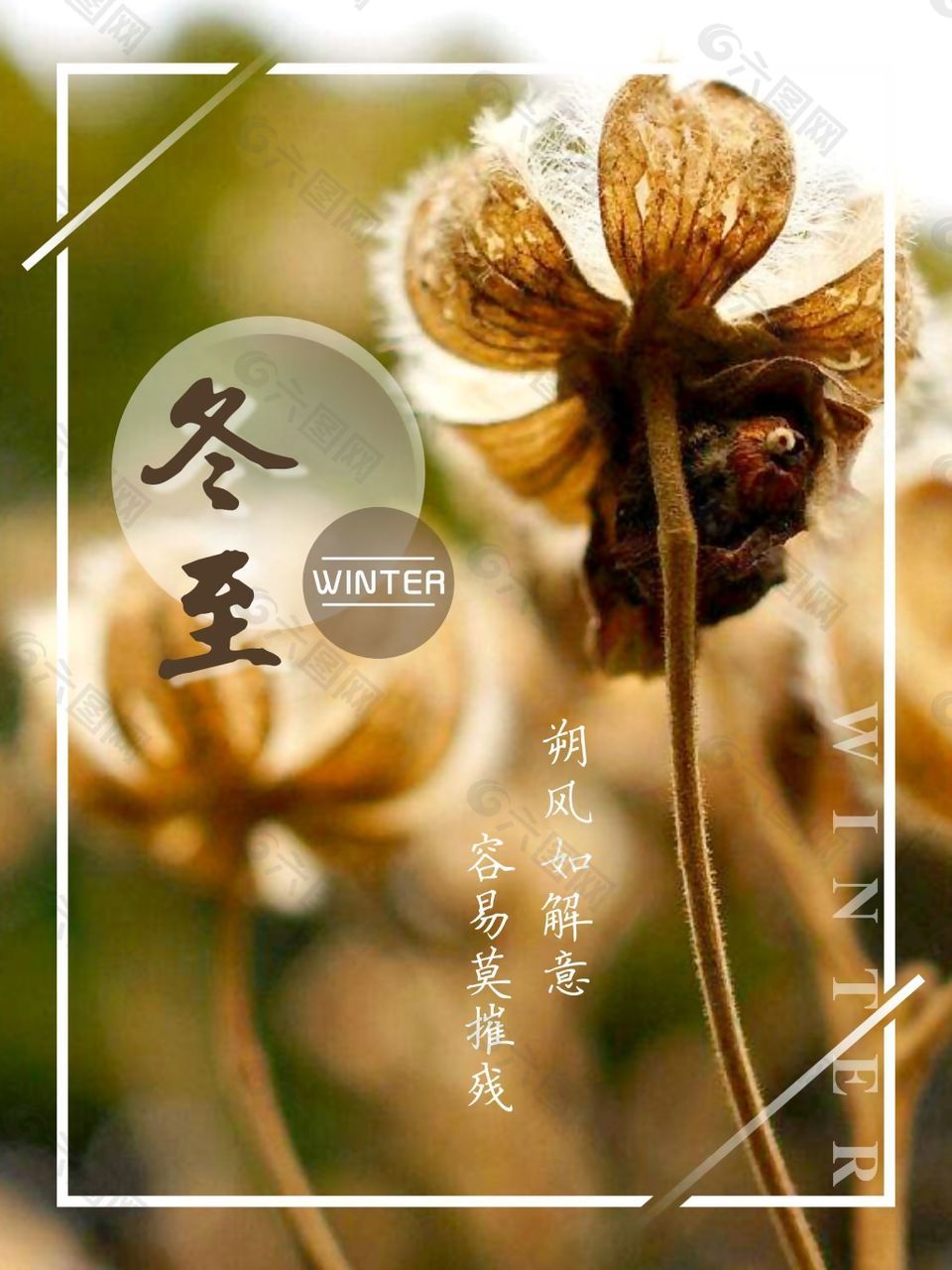 2021年立春和春分_立春和春分是什么意思_2024年立春是幾點幾分