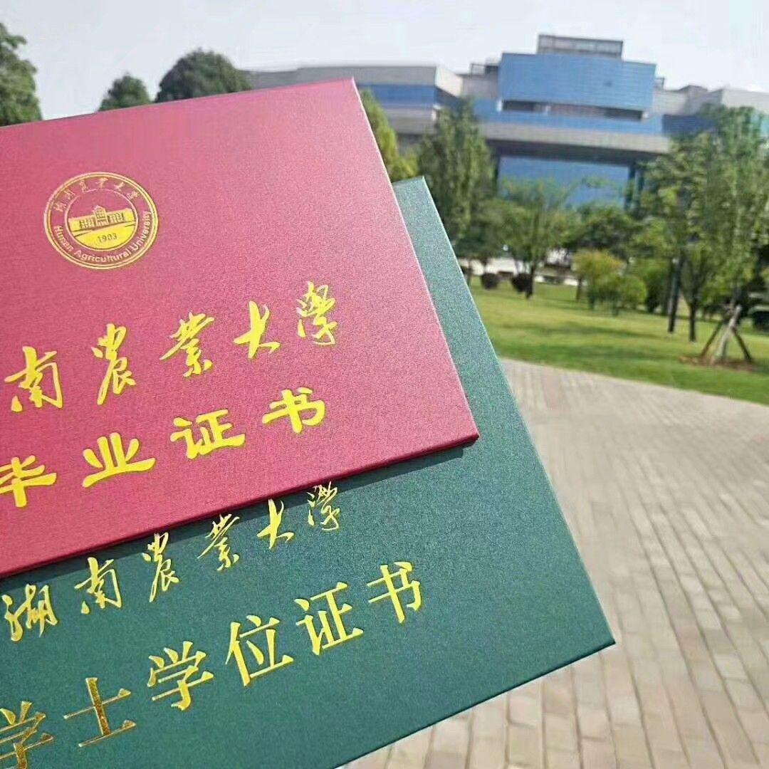 本科院校雙非什么意思_本科雙非是什么_雙非本科是什么意思